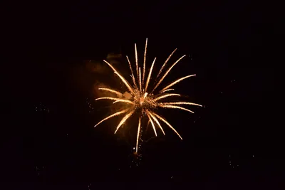 DSC_3386 (Large).JPG